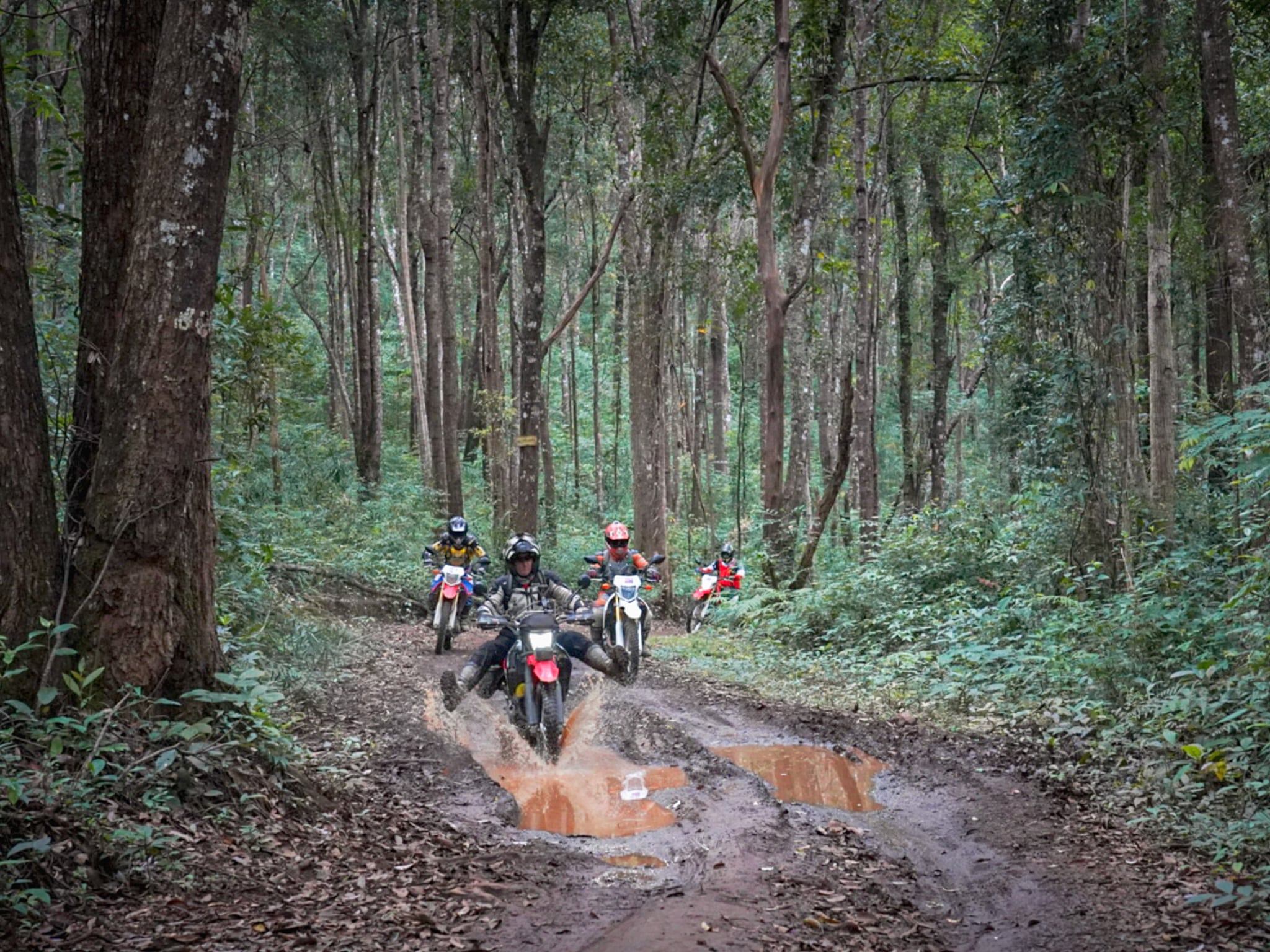 Muddy track on off road dirtbike tour